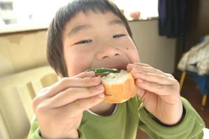 シーズニングの専門サイトで新商品を開発しよう